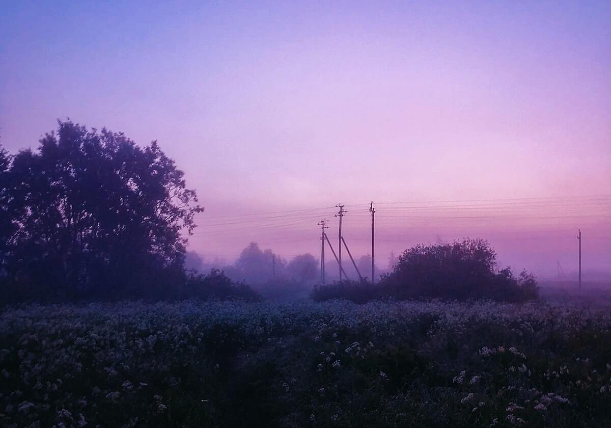 茶杯狐体检卡：问题单位有没有漏标，动作把条件补成清单，提示把句子拉回地面